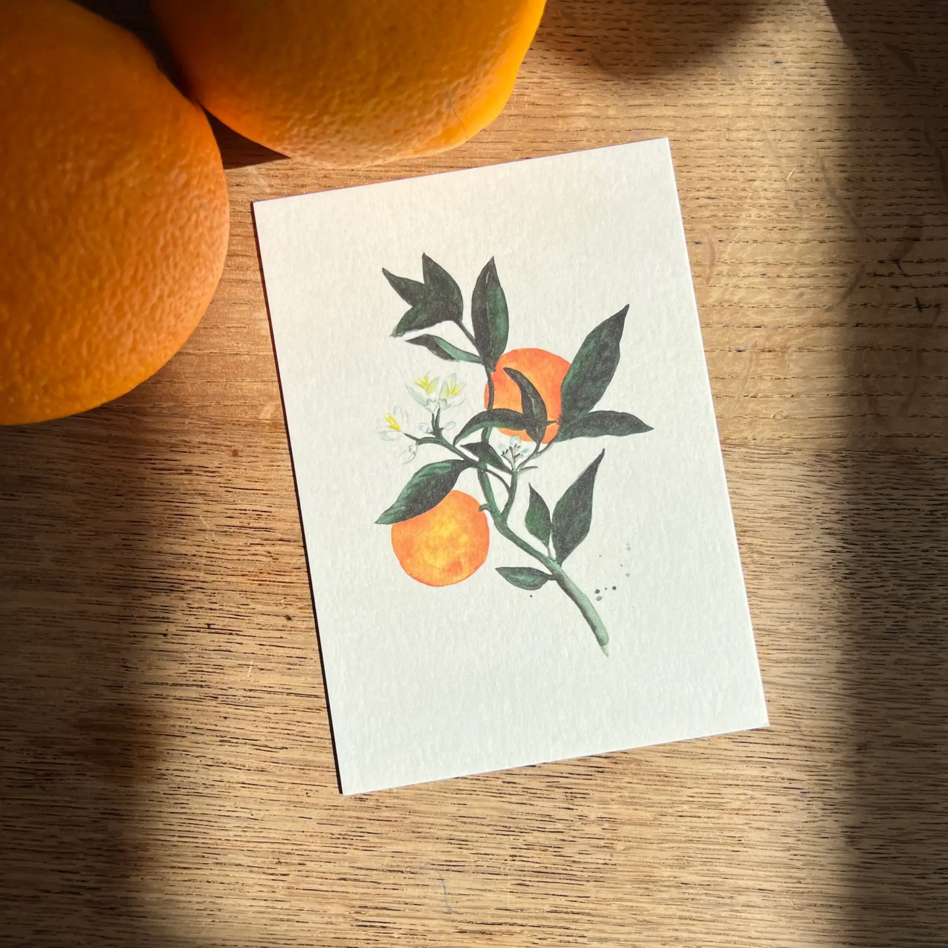 Handgeschilderde kaart met sinaasappels aan tak – Ansichtkaart Sinaasappels