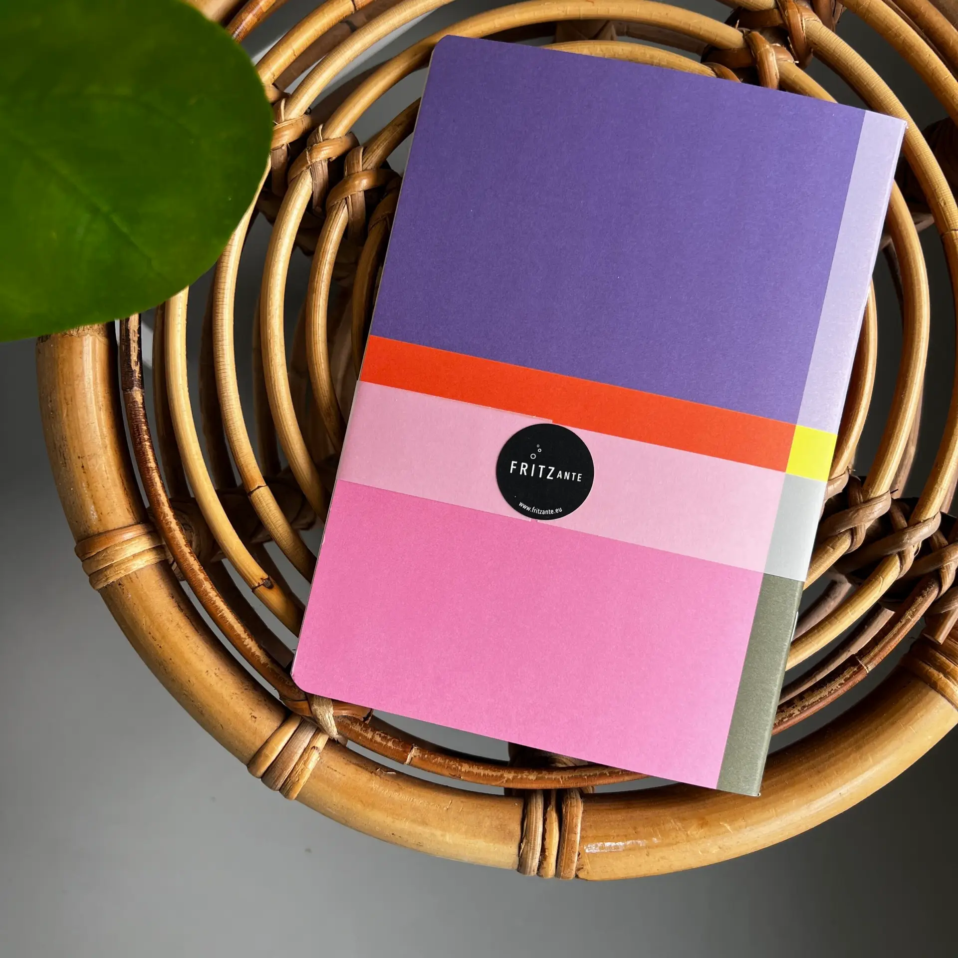 Notitieboekje Felle Kleuren 2 Fritzante notitieboekje felle kleuren