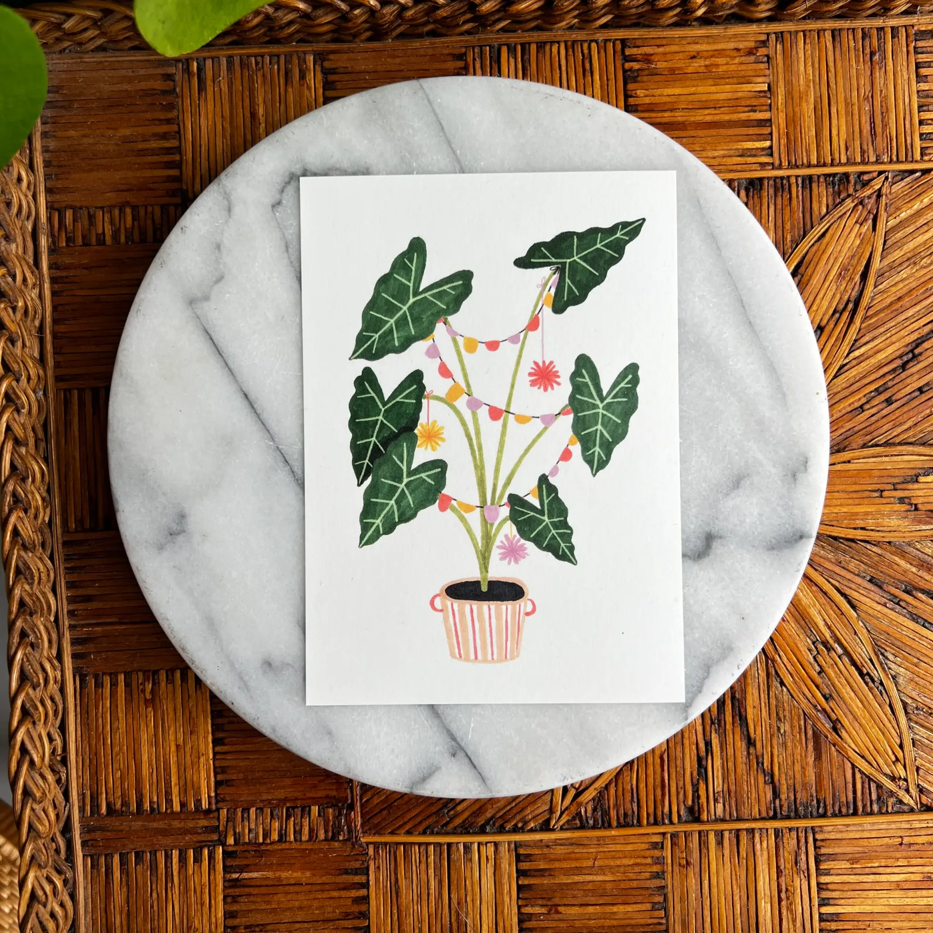 Postkaart met feestelijke Alocasia plant